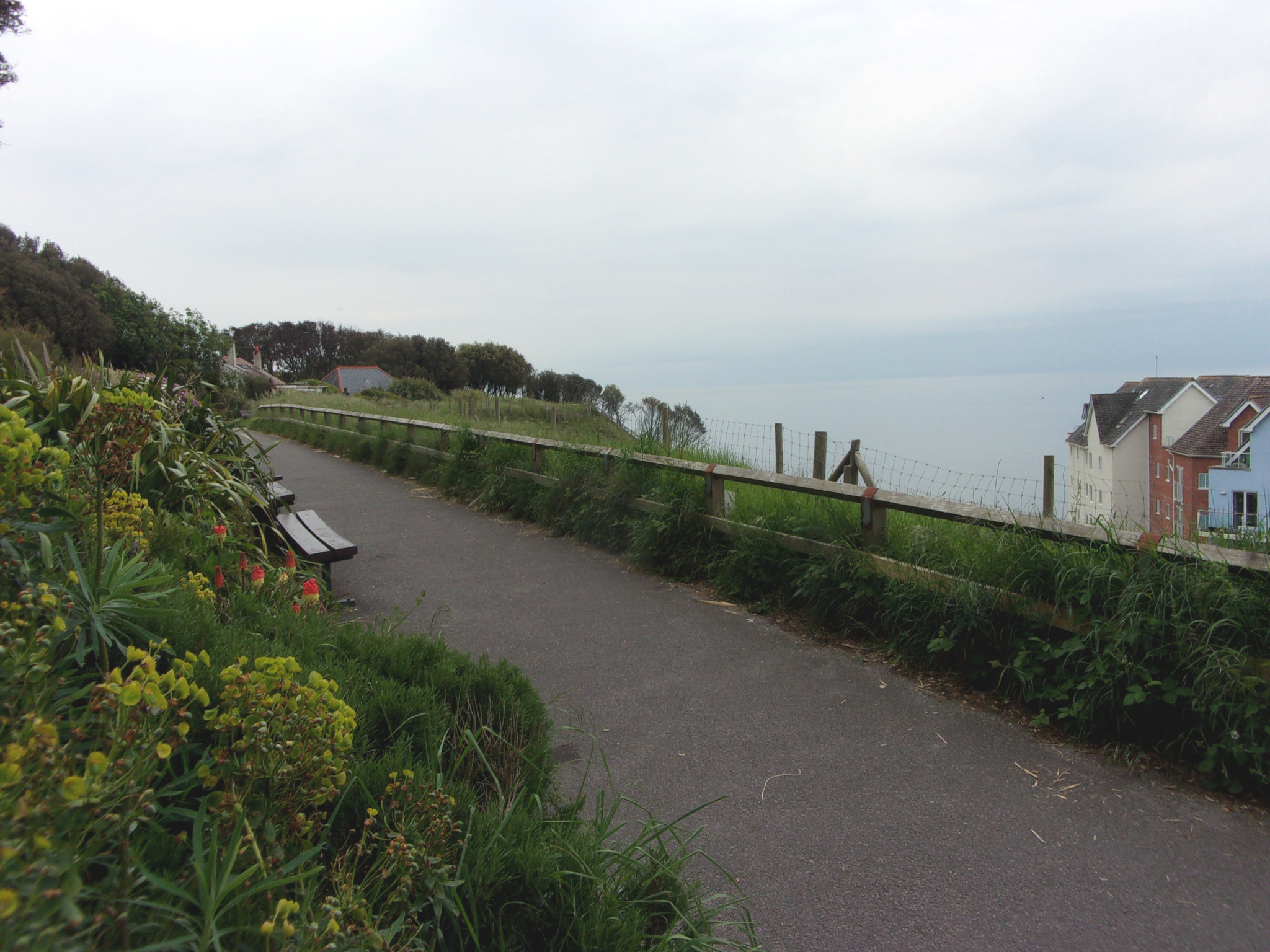 Boscombe Cliff Gardens