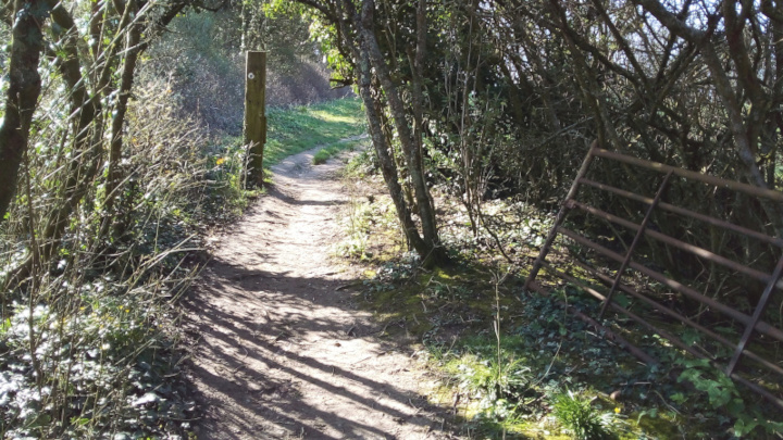 Wood near Max Gate Roundabout.