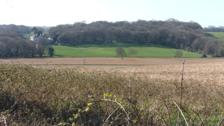 Came House from a distance.