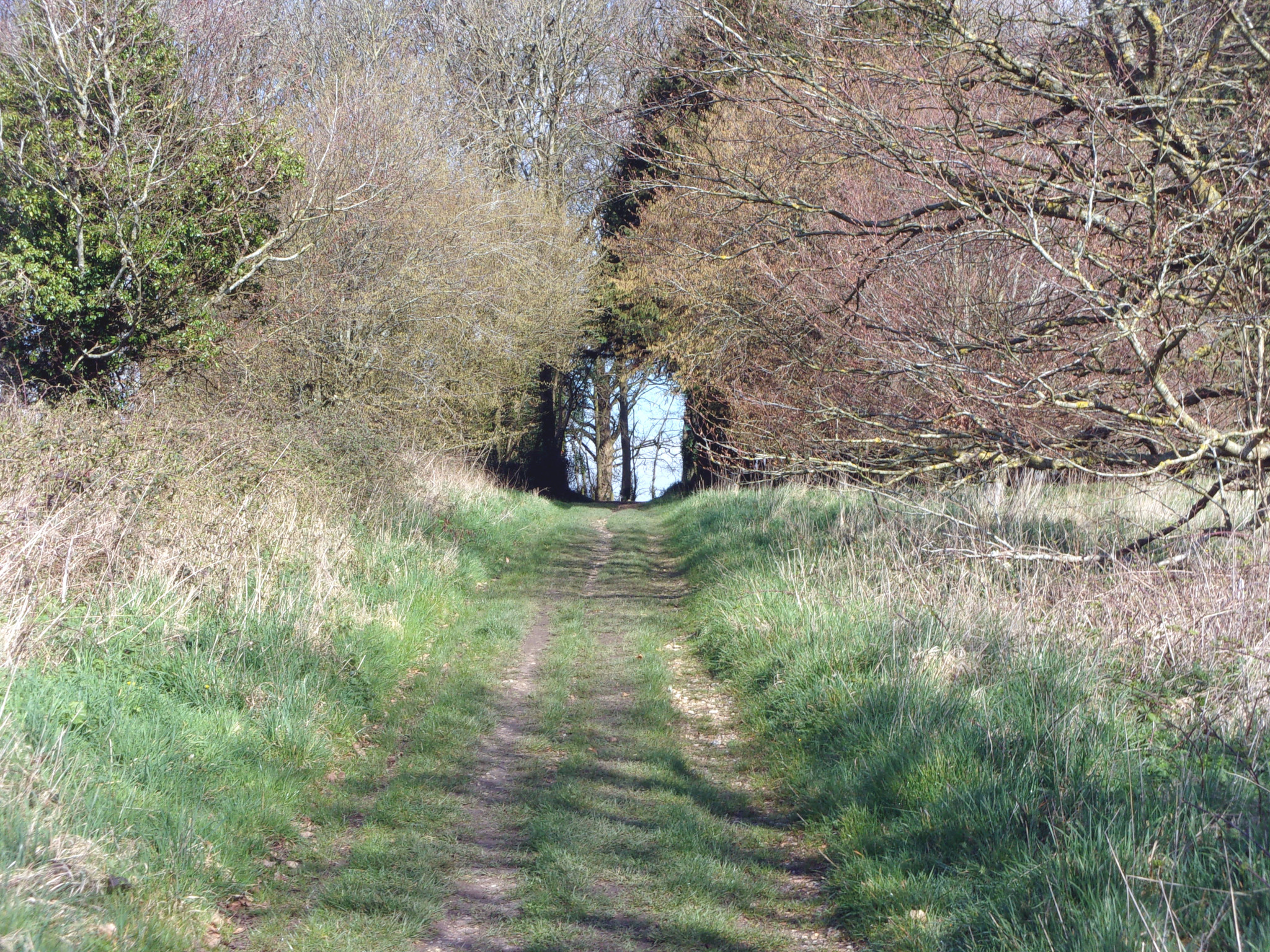 Path near Winterborne Came.