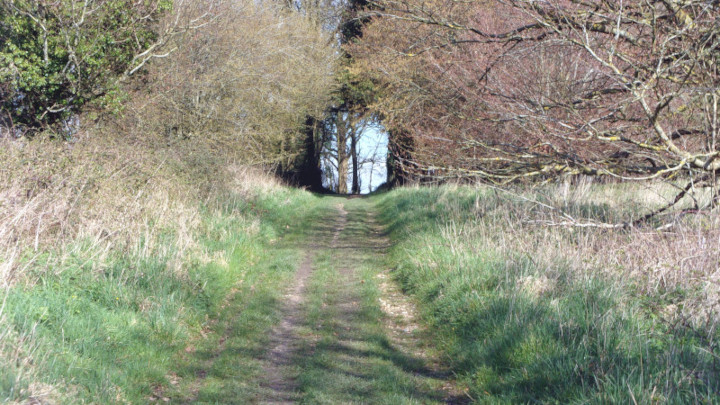 Path near Winterborne Came.