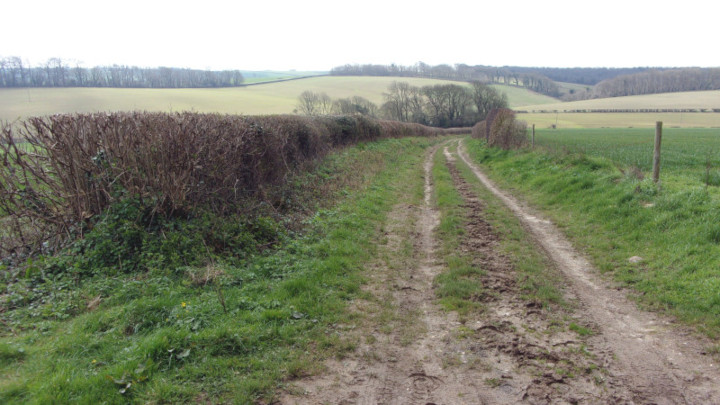 The Jubilee Trail.