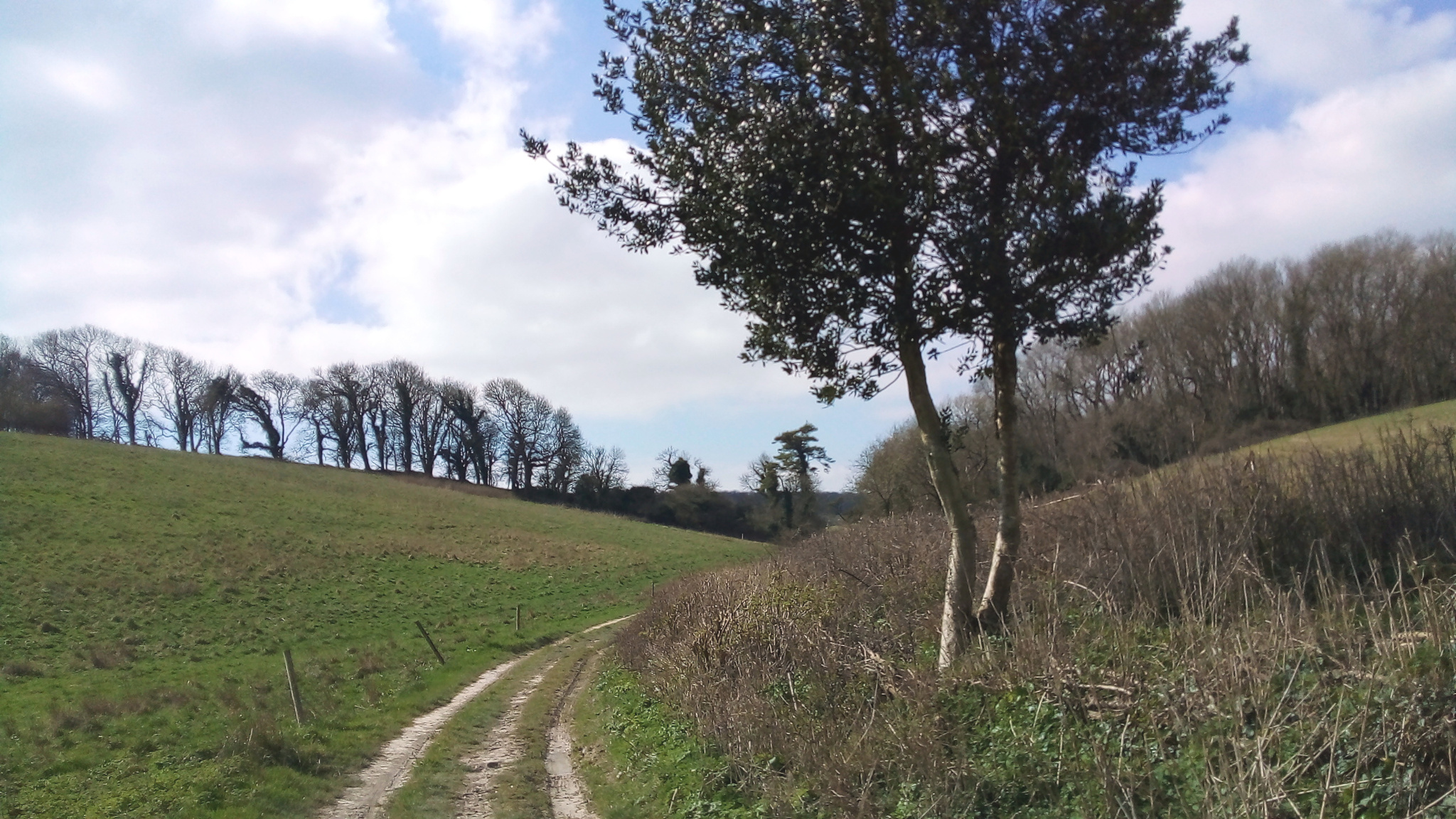 Another beautiful part of the Jubilee Trail.