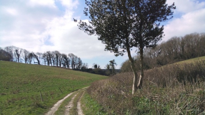 Another beautiful part of the Jubilee Trail.
