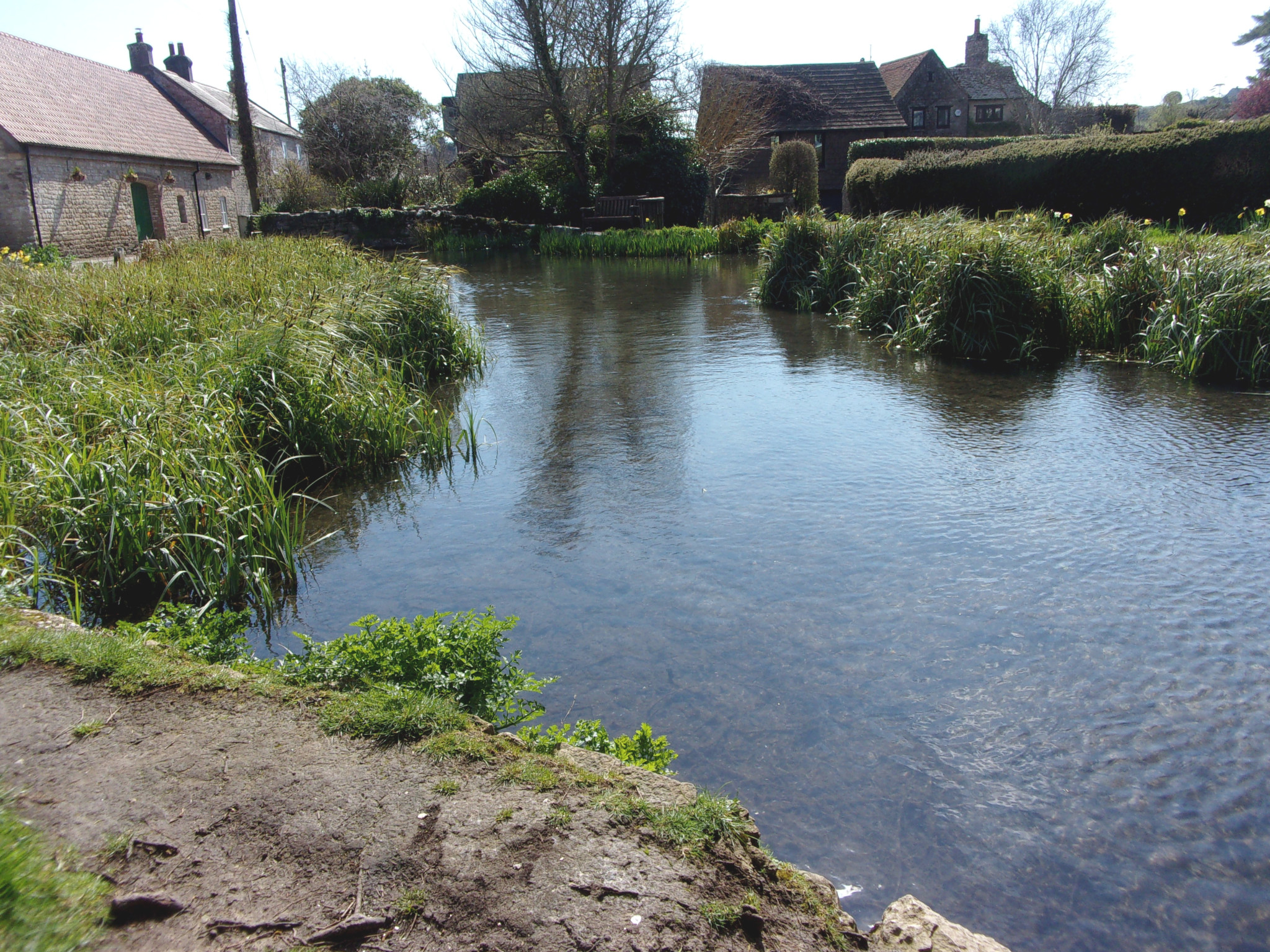 A break at the duck pond in Sutton Poyntz.