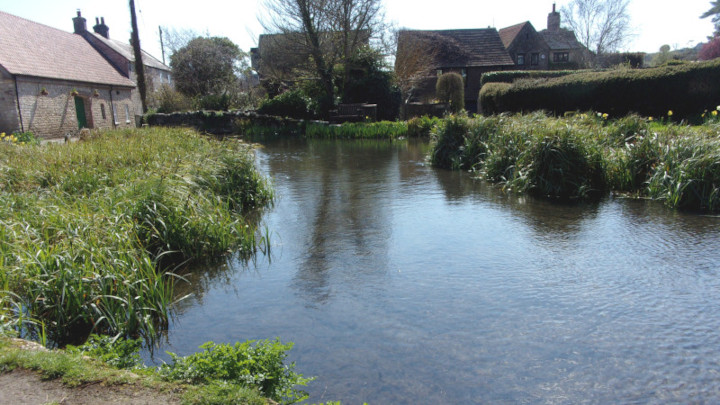 A break at the duck pond in Sutton Poyntz.