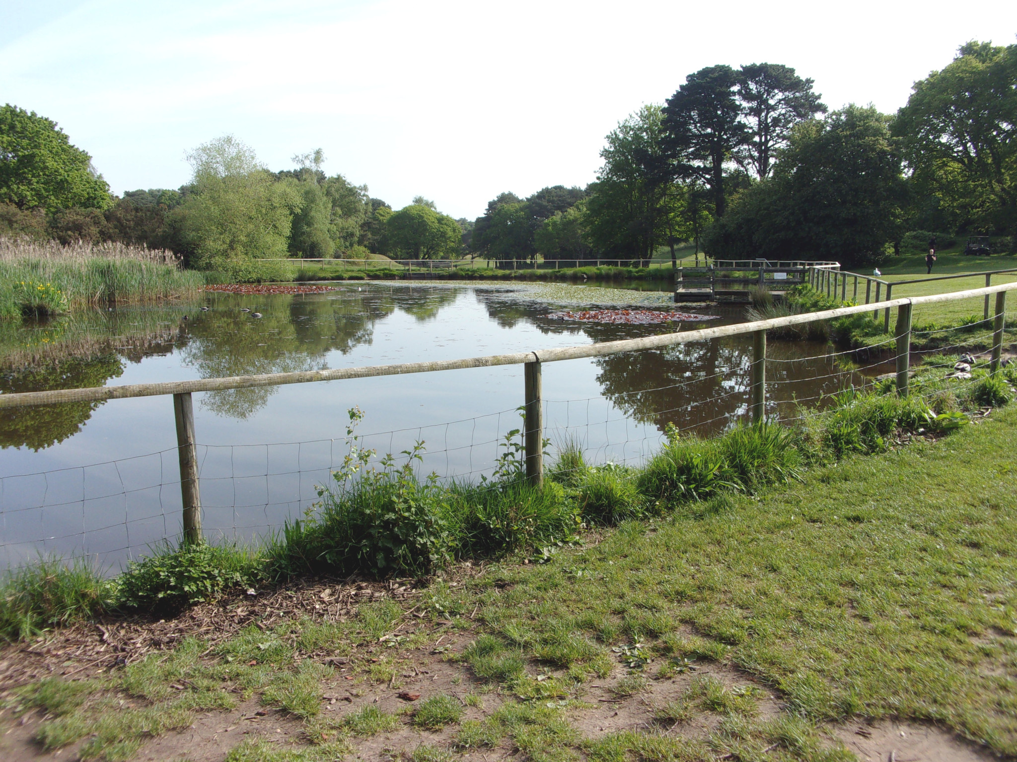 The pond on which I had my break.