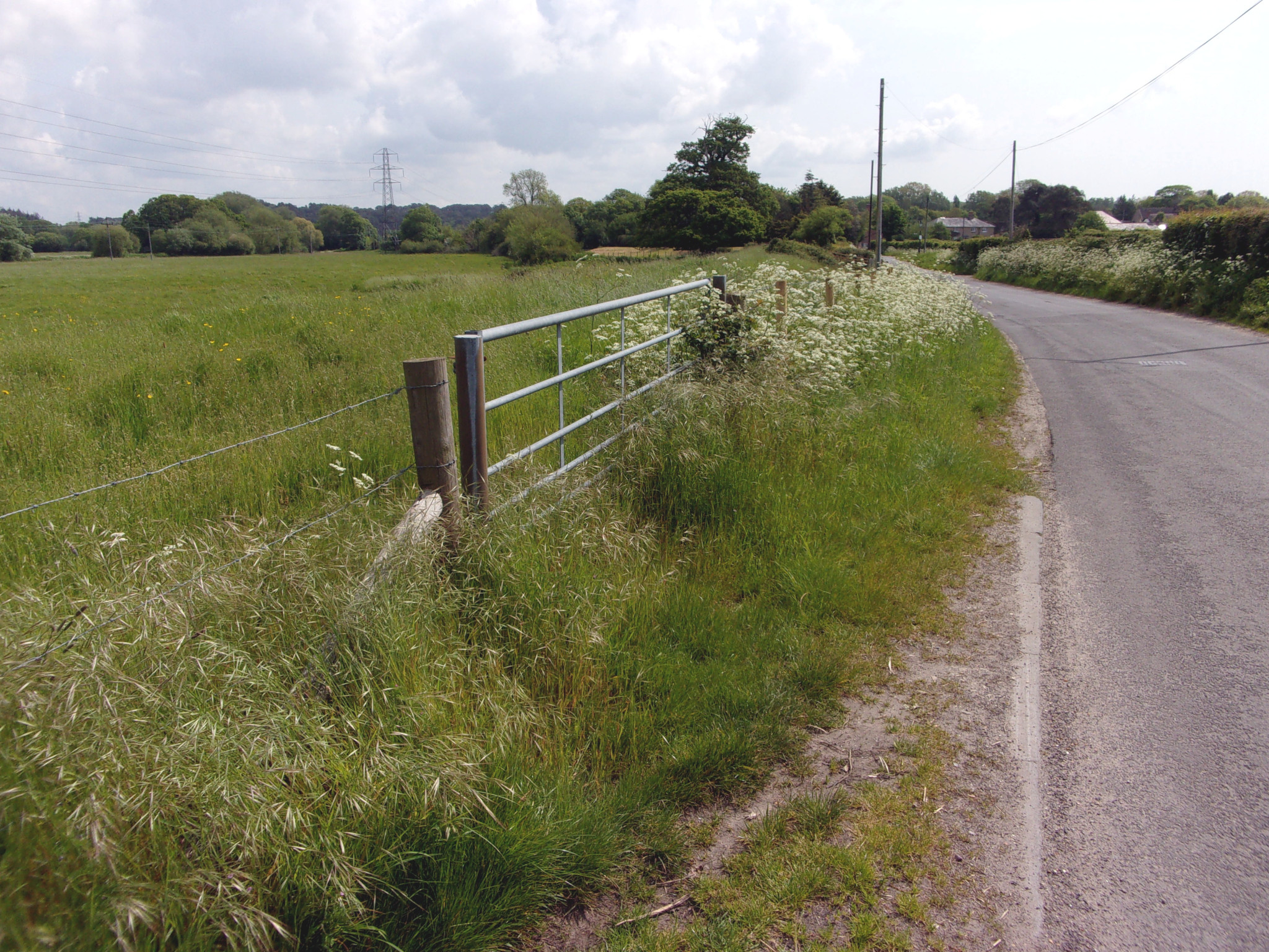 Between Holdenhurst and Throop.