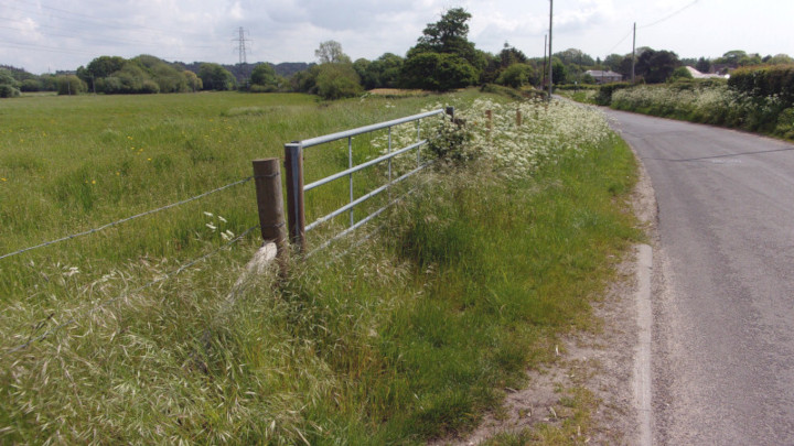 Between Holdenhurst and Throop.