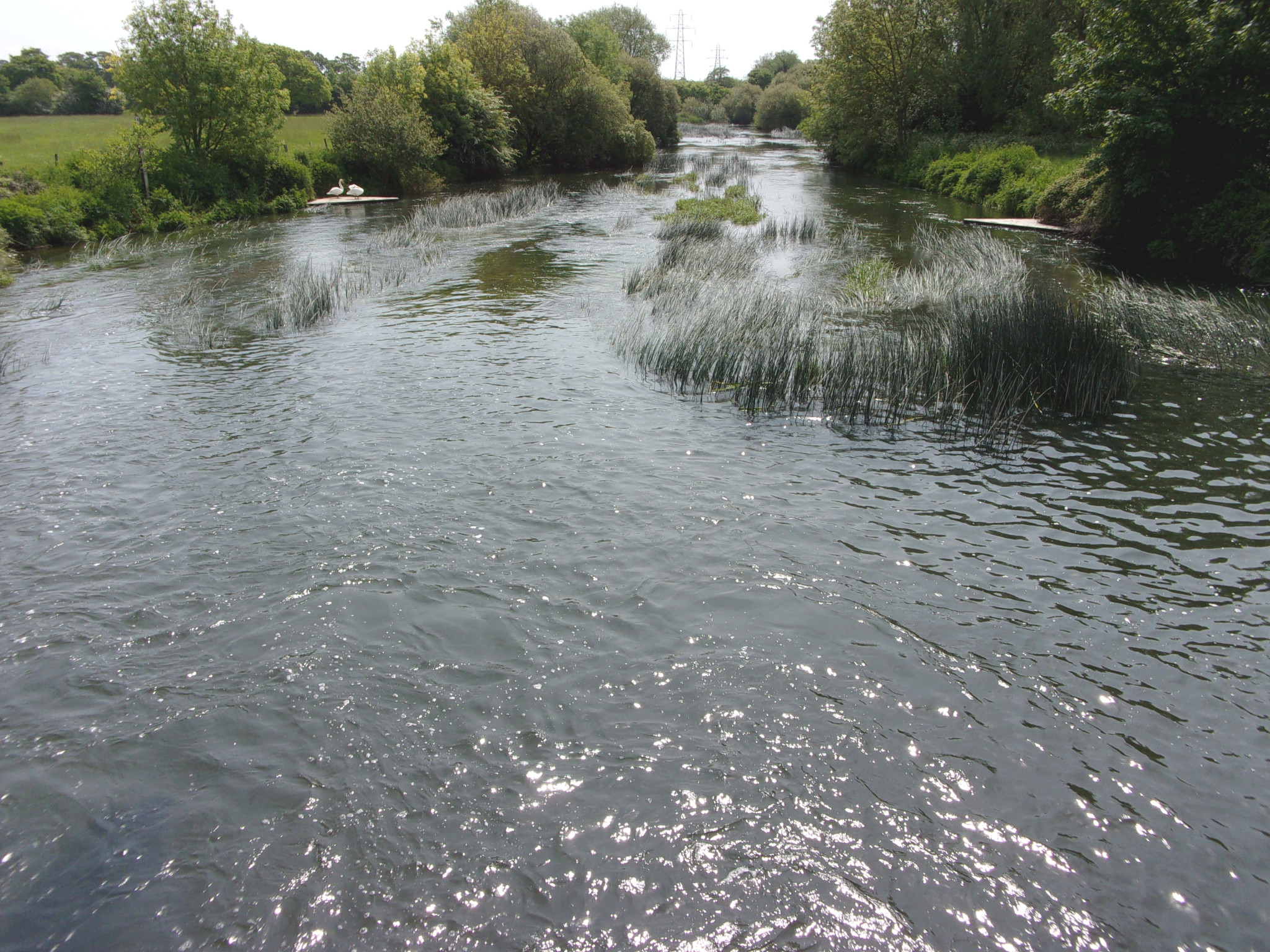 The River Stour near Throop.