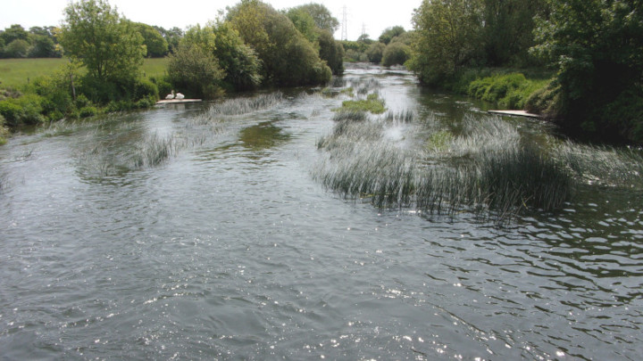 The River Stour near Throop.