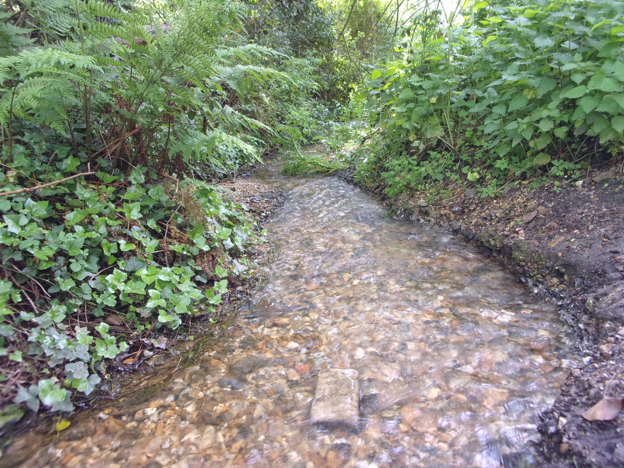 A stream not far from Adventure Wonderland and Bournemouth Airport.
