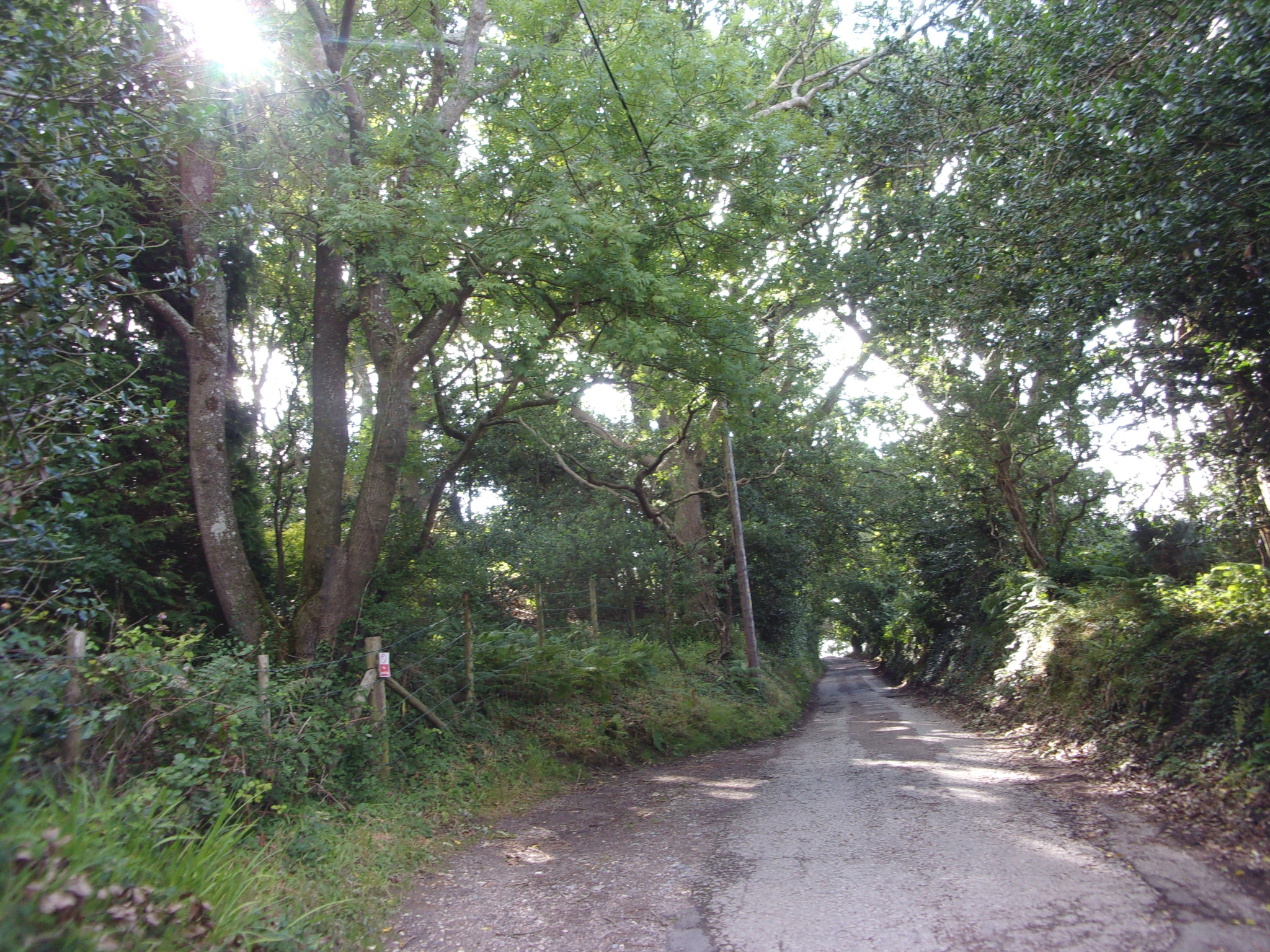 The Purbeck Way in Ridge.