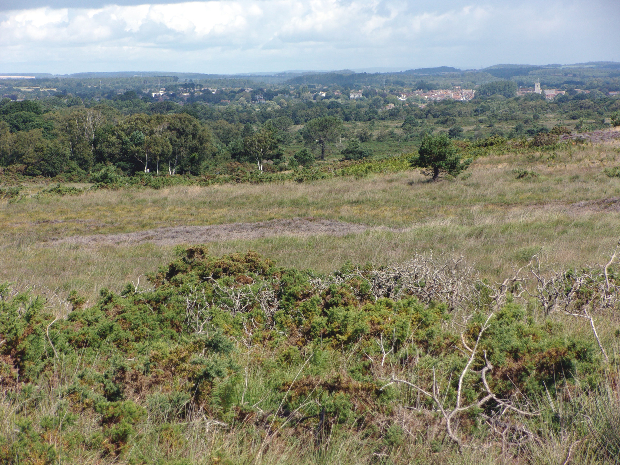 Wareham from afar.