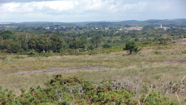 Wareham from afar.
