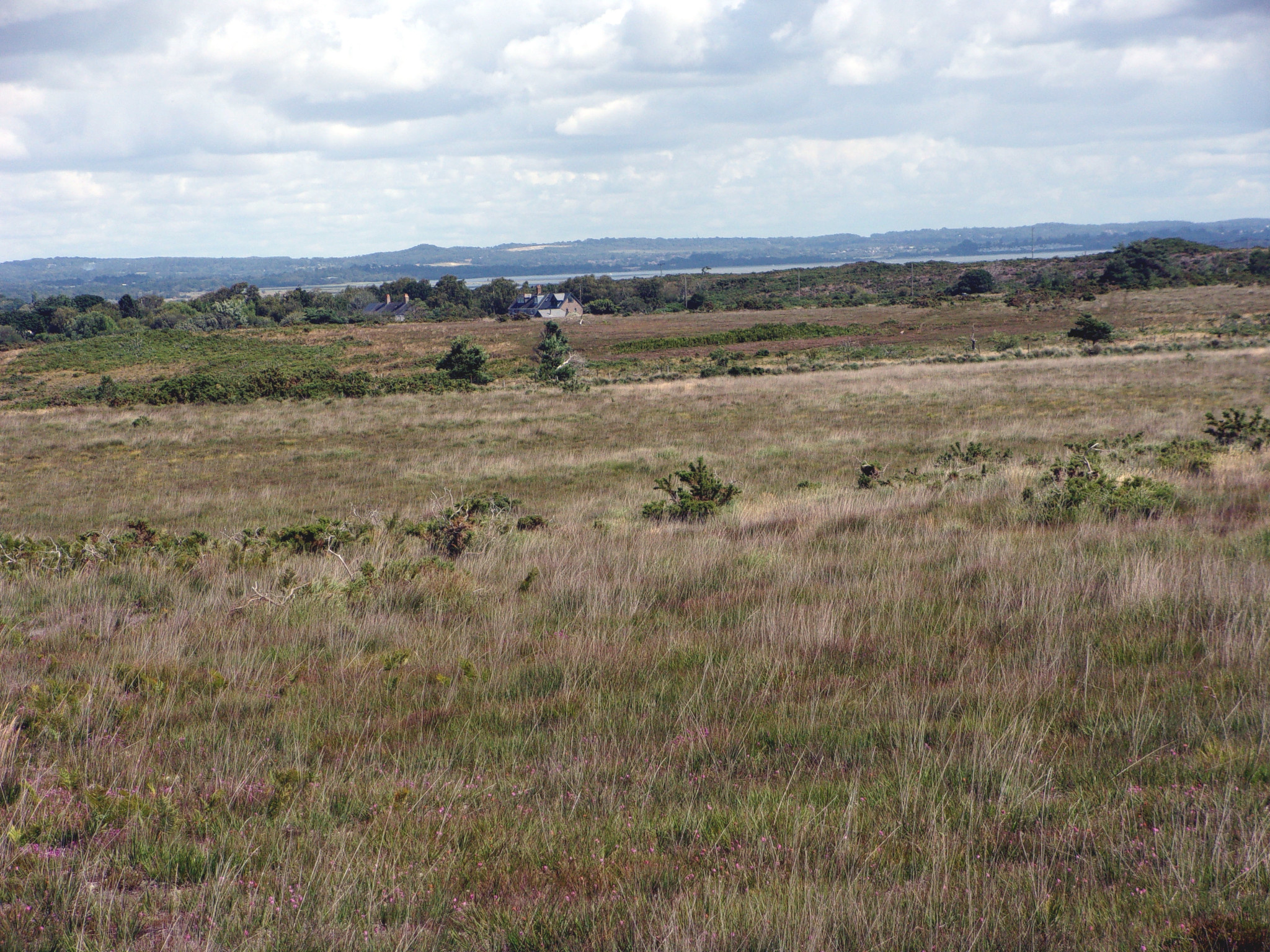 Poole Harbour from afar.