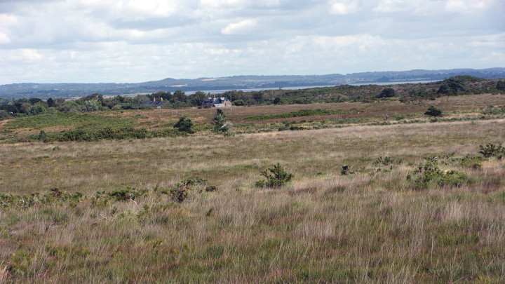 Poole Harbour from afar.