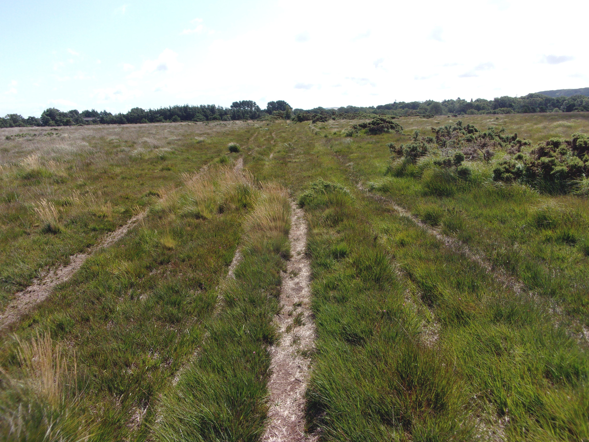 Creech Heath.