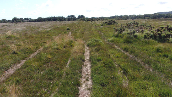 Creech Heath.