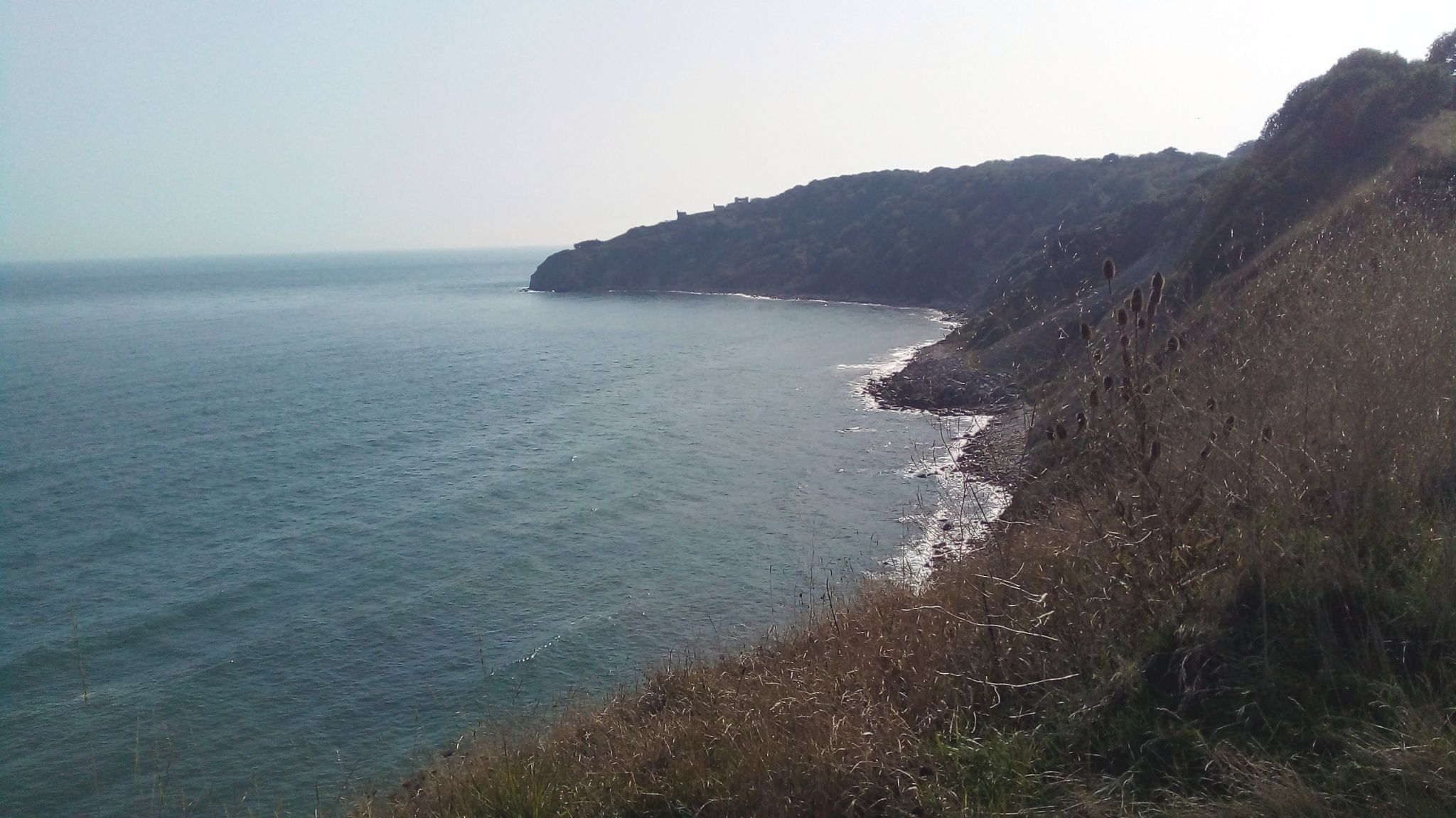 Durlston Bay and Durlston Castle in the background.