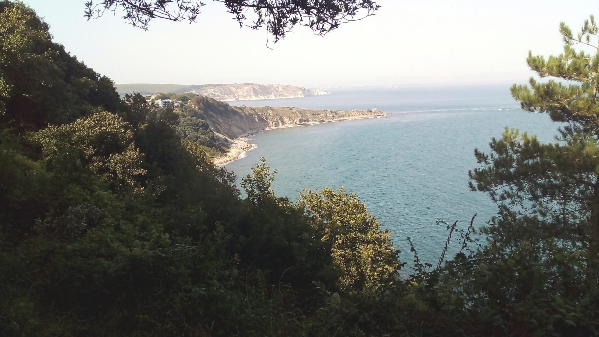 Durlston Bay.