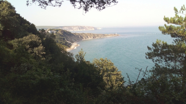 Durlston Bay.