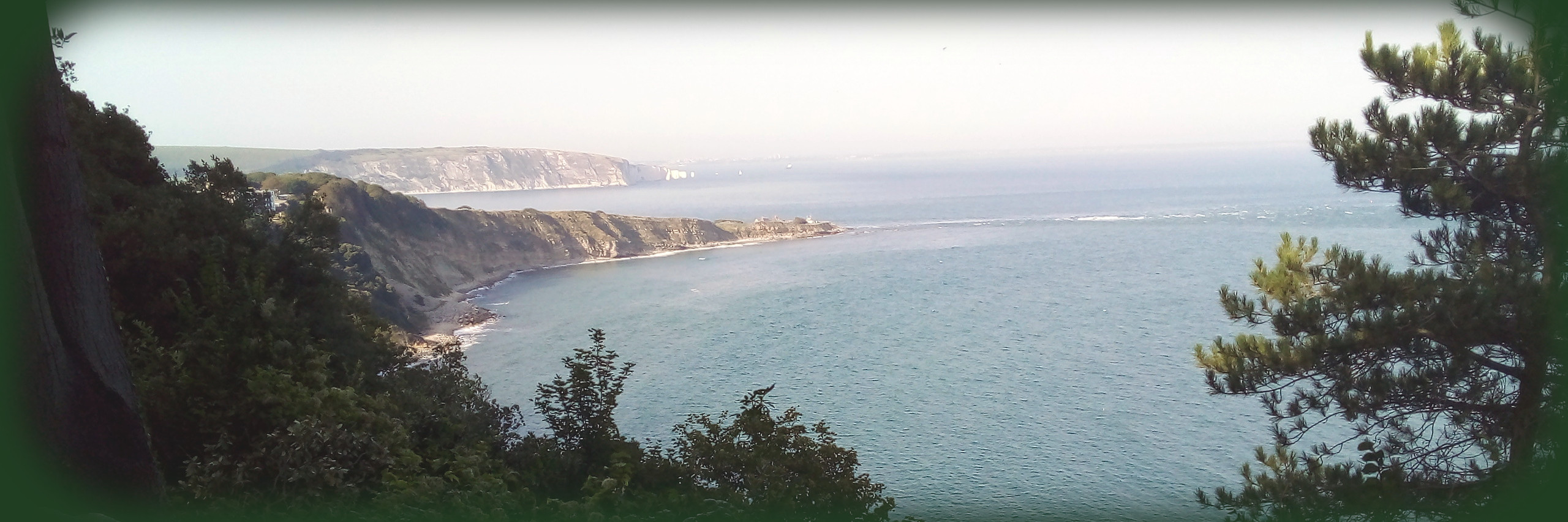 Header