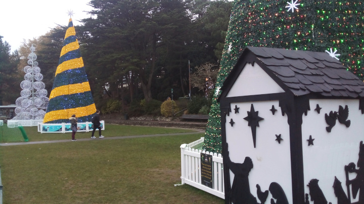 Christmas Tree Wonderland in the Lower Gardens.