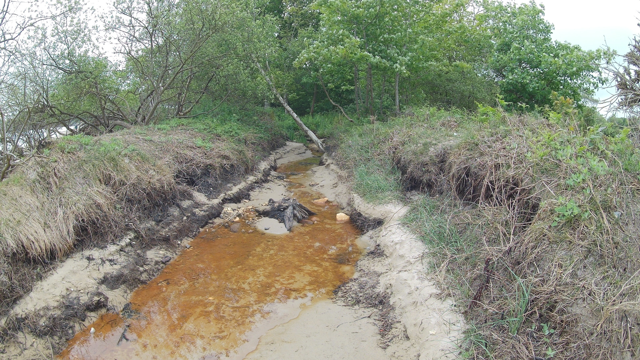 Brook near Middle Beach.