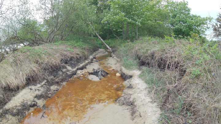 Brook near Middle Beach.