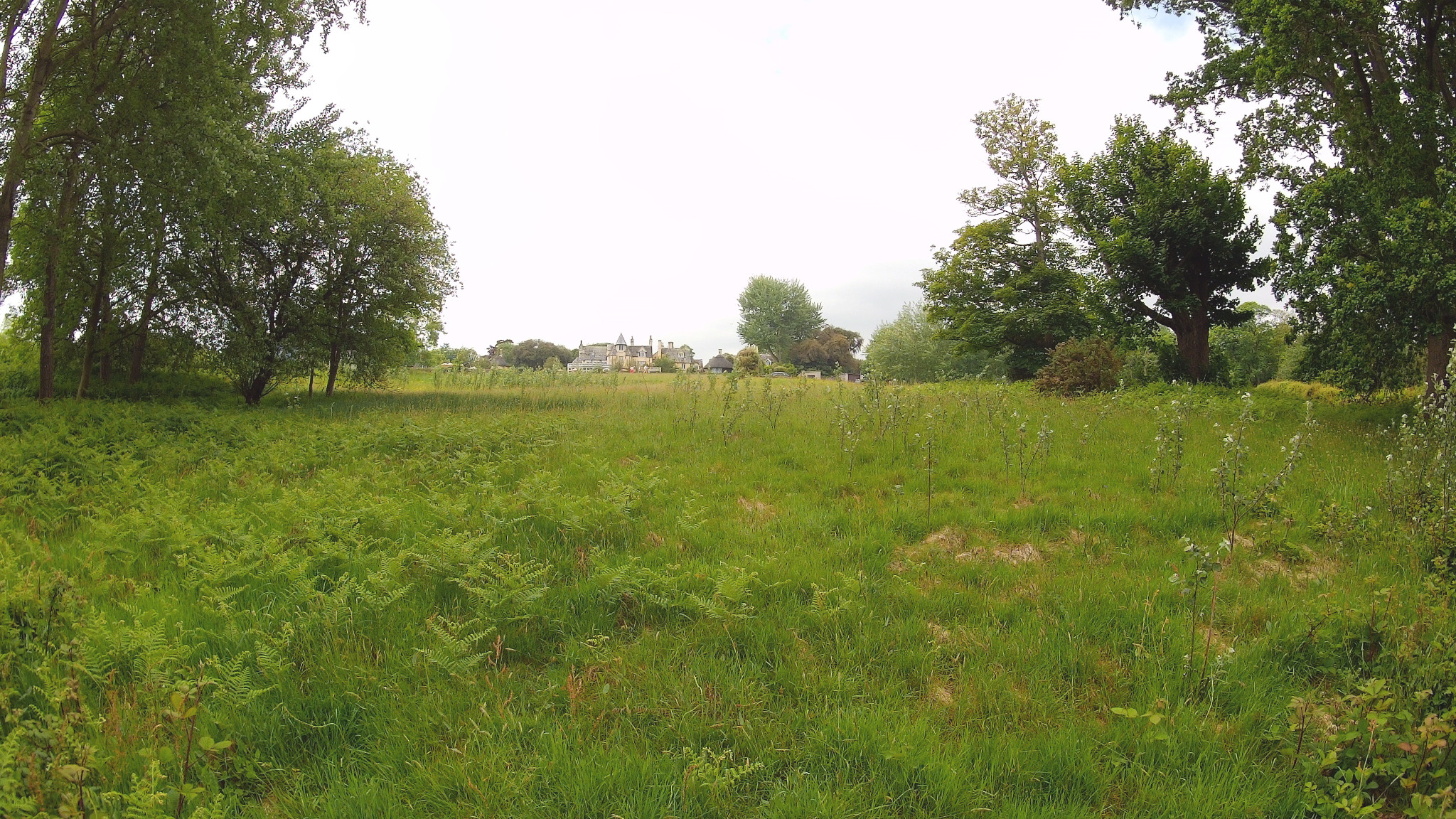 Studland village from afar.