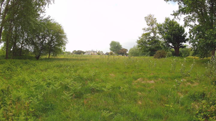 Studland village from afar.
