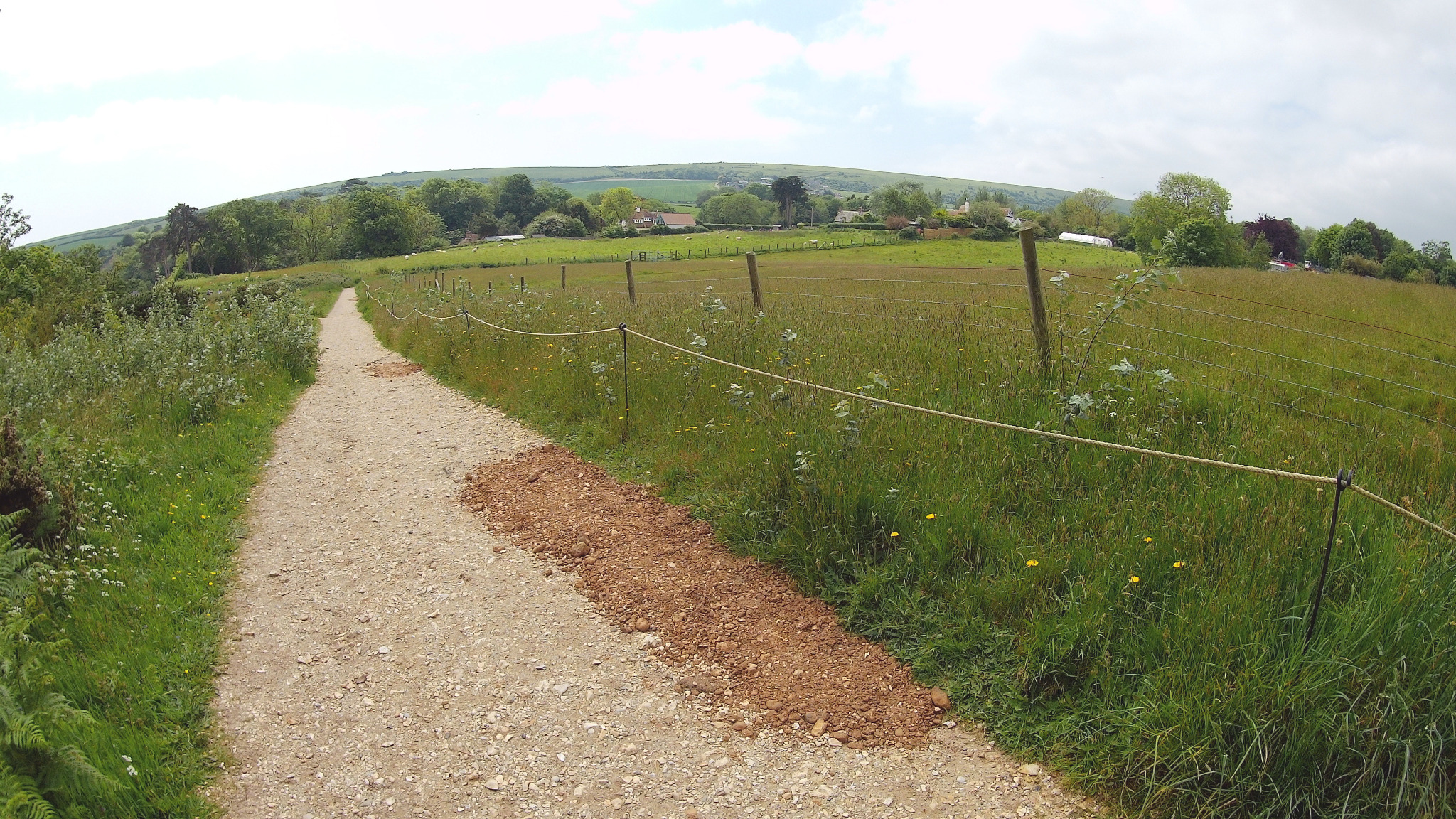 On my way to Studland village.