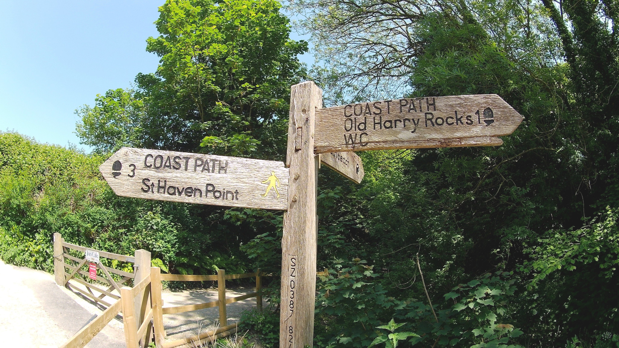 South Haven Point to Peveril Point