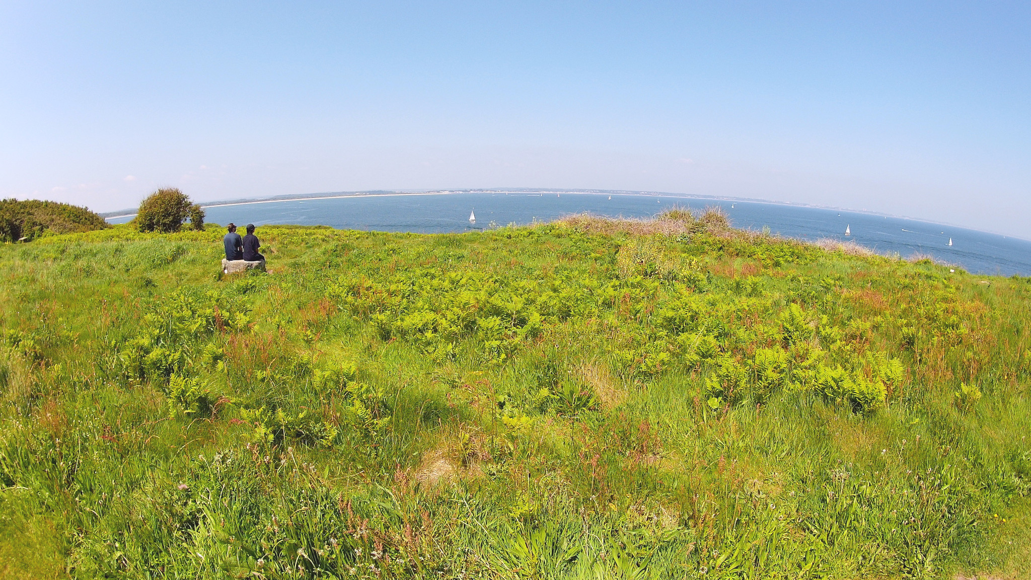 At the Old Harry Rocks.