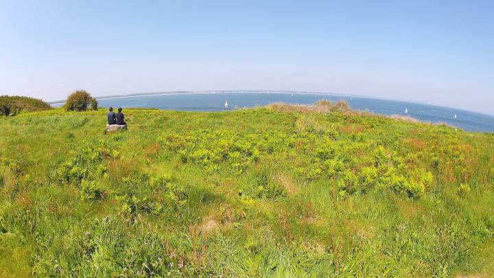 At the Old Harry Rocks.