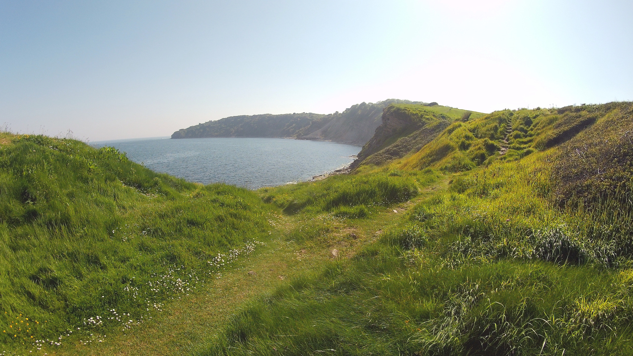 Durlston Bay and cliffs.