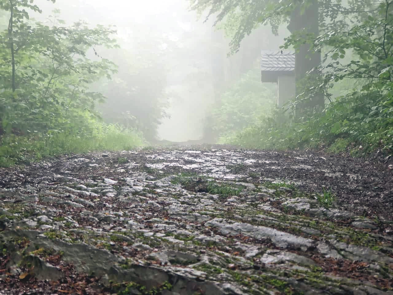 The stony surface near the summit cross.