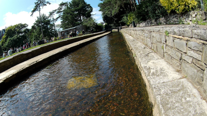 The Bourne Stream at the Lower Gardens.