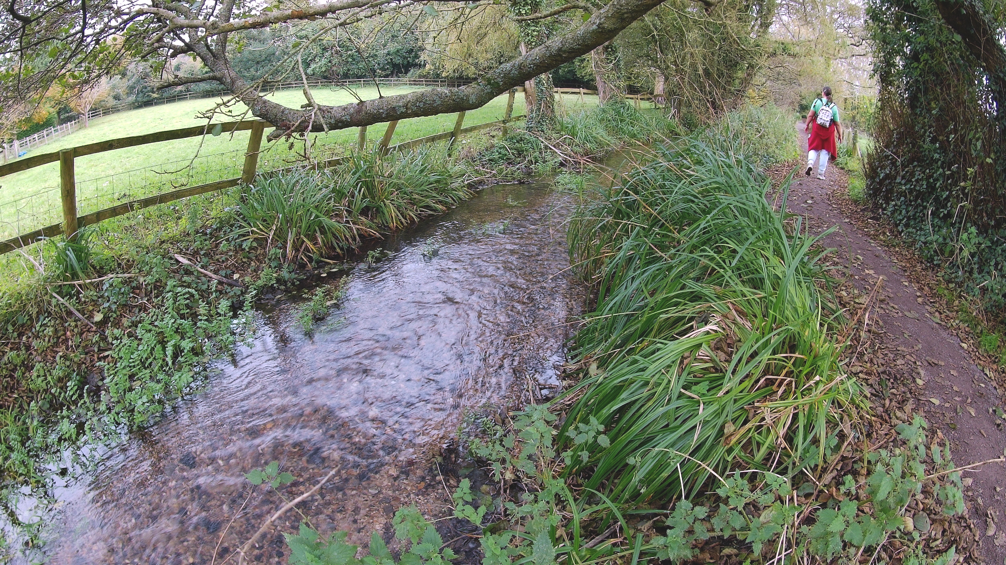 The River Frome splits into several channels diverted from it in this area