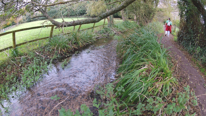 The River Frome splits into several channels diverted from it in this area