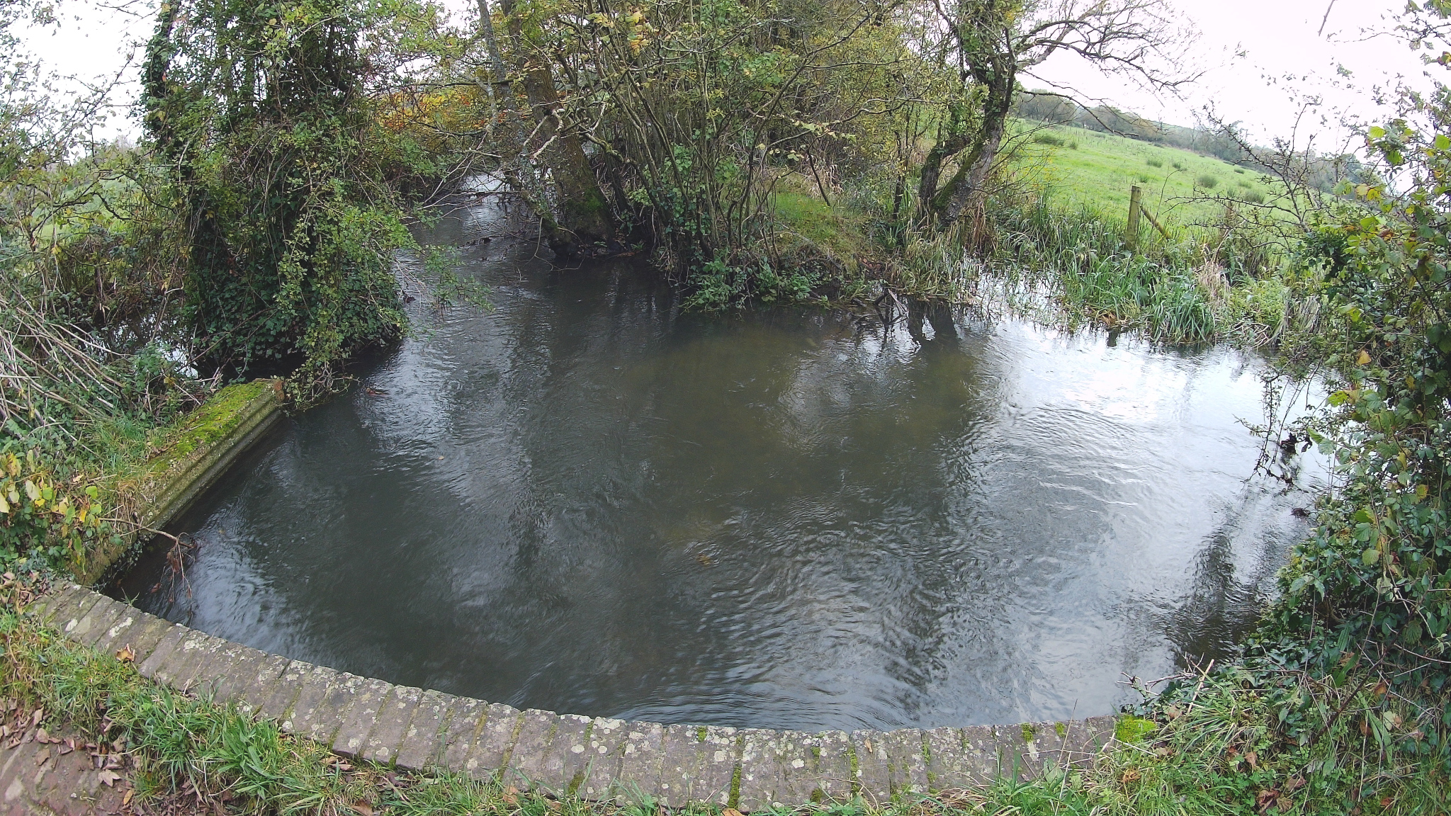 River Frome