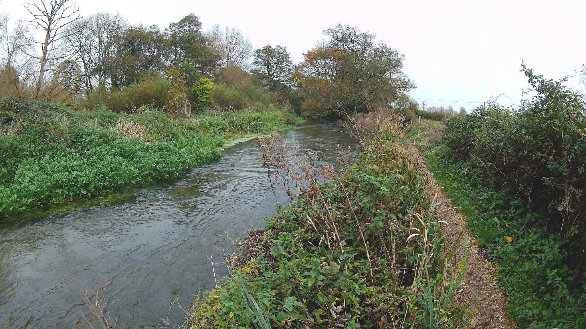 River Frome