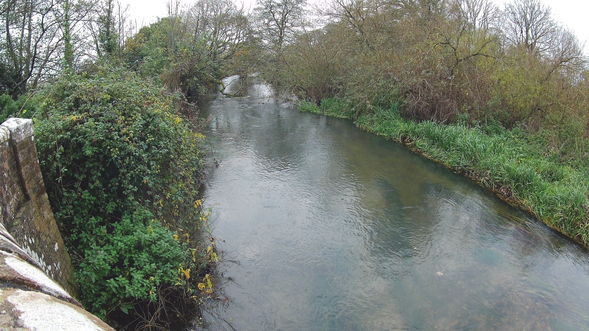 The Frome from the bridge at Lower Bockhampton