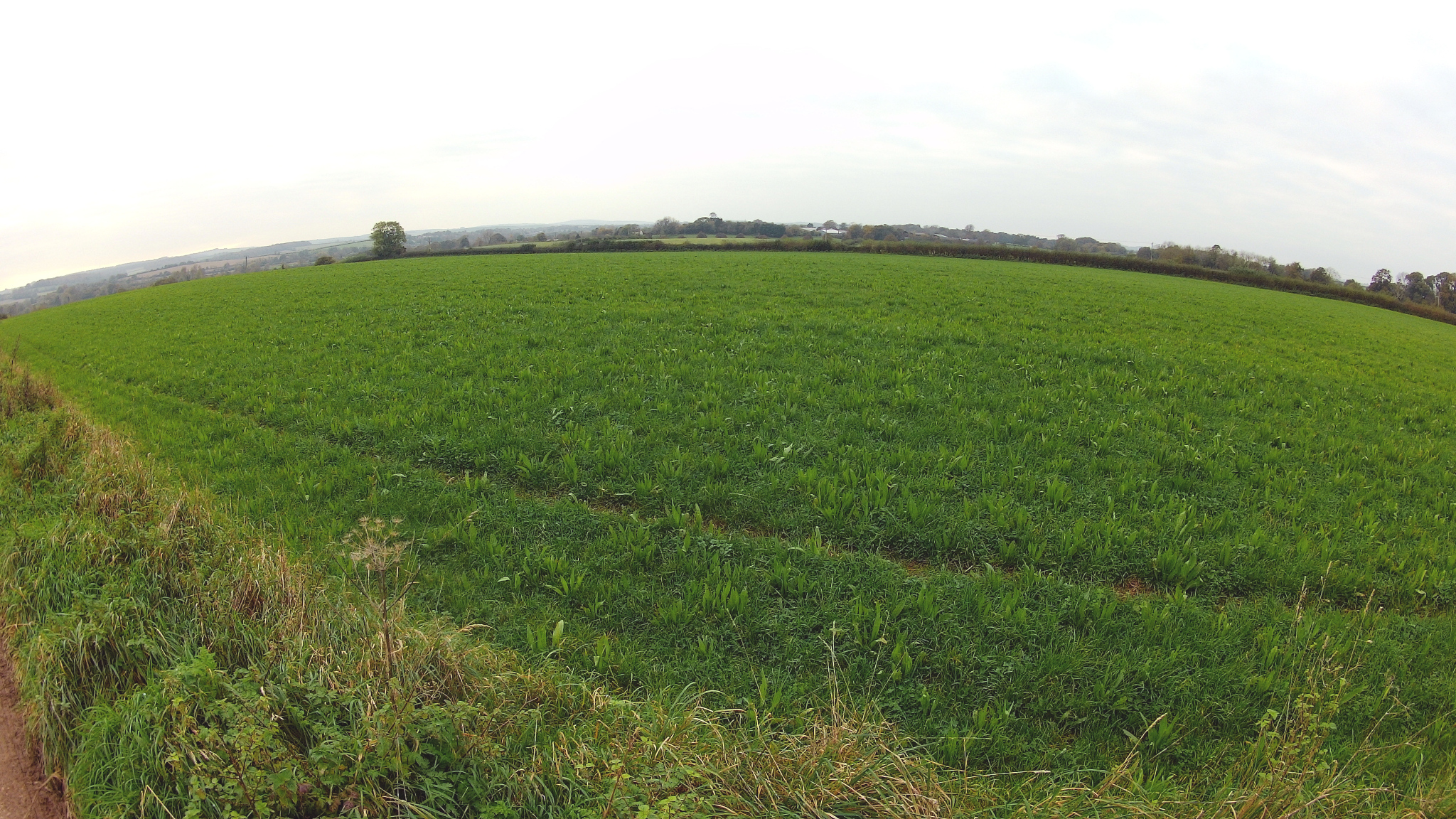 Between Bhompston Farm and Pine Lodge Farm