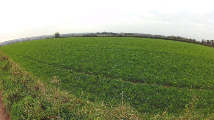 Between Bhompston Farm and Pine Lodge Farm