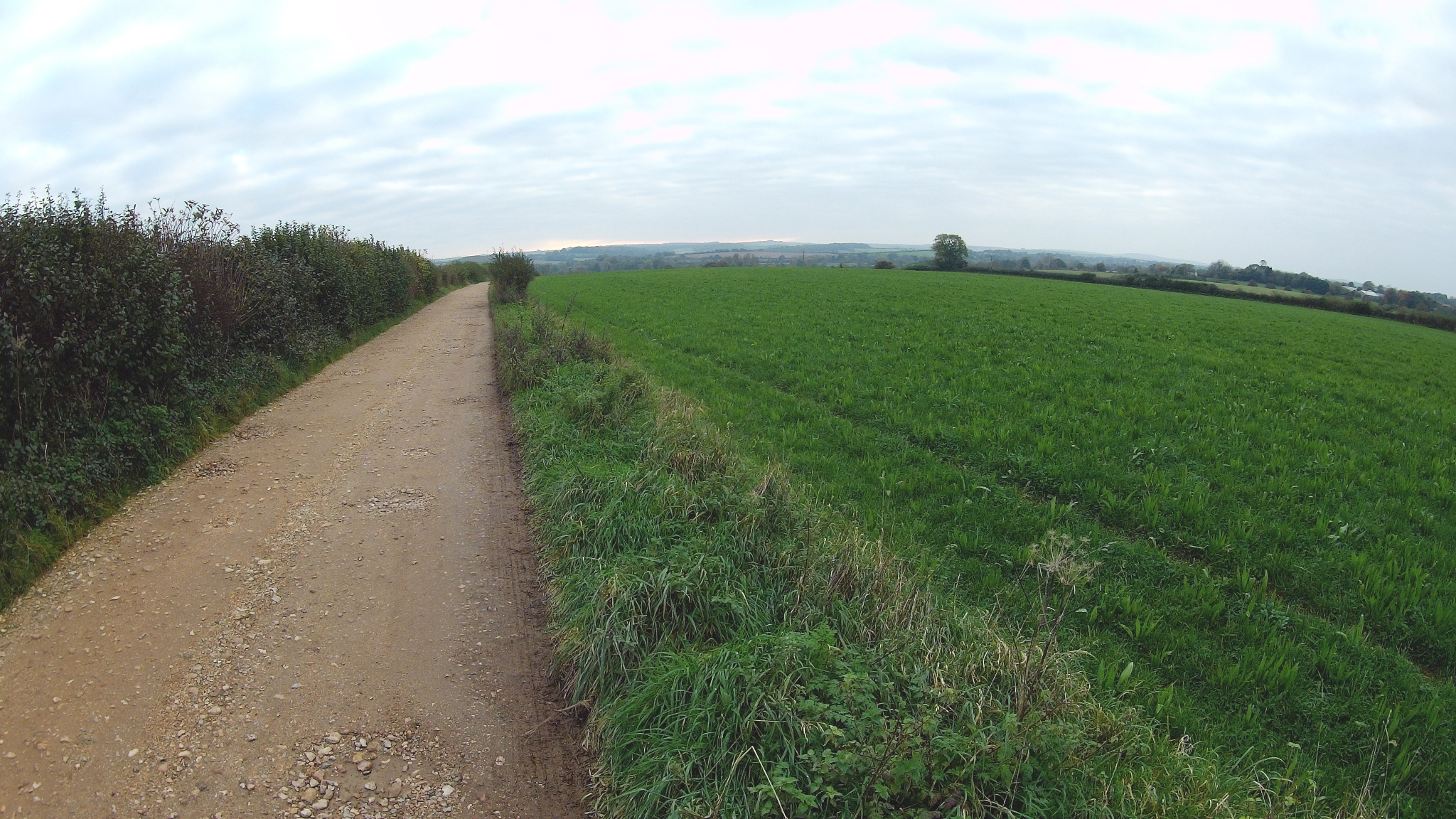 Between Bhompston Farm and Pine Lodge Farm