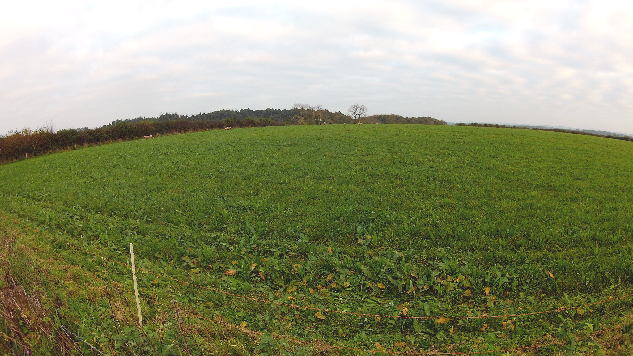 Between Bhompston Farm and Pine Lodge Farm