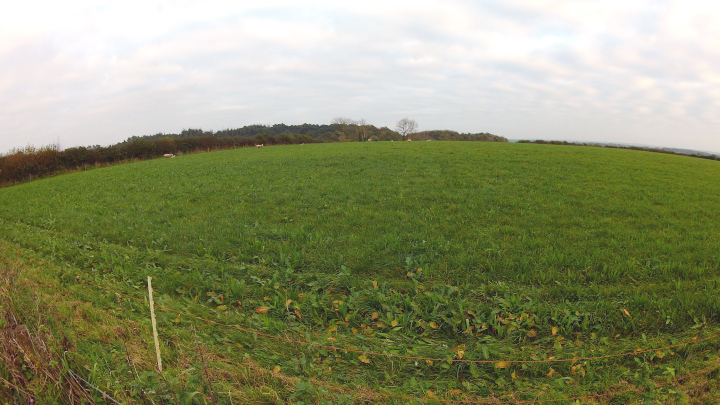 Between Bhompston Farm and Pine Lodge Farm