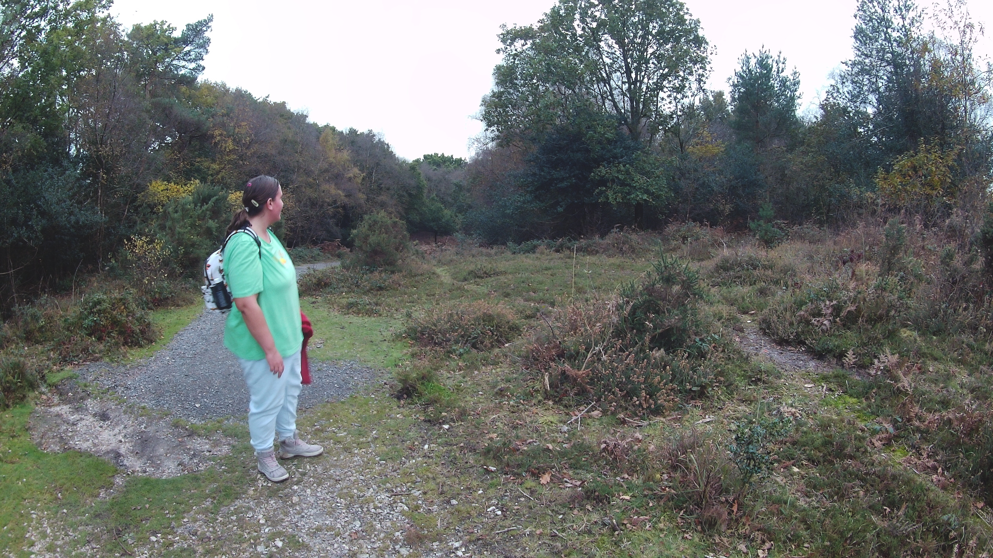 Thorncombe Wood